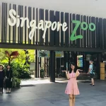 Singapore Zoo: How to get there and guides on what to do for first-timers