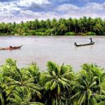Con Quy tourist area- “Green Pearl” of Ben Tre coconut land