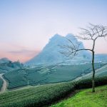What is the best time to visit Moc Chau
