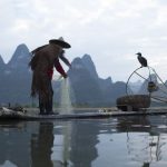 Cormorant fishing Li river — Exploring the art of cormorant fishing China
