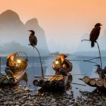 Cormorant fishing Guilin — Meet the legendary fishermen of Li river