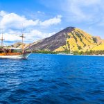 Komodo Island trip blog — The island of the largest lizard in the world