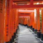 10 travel etiquette guidelines when visiting Shinto temples in Japan