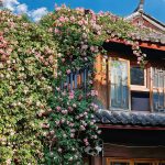 Lijiang Ancient Town – Discover the “Venice” of the East