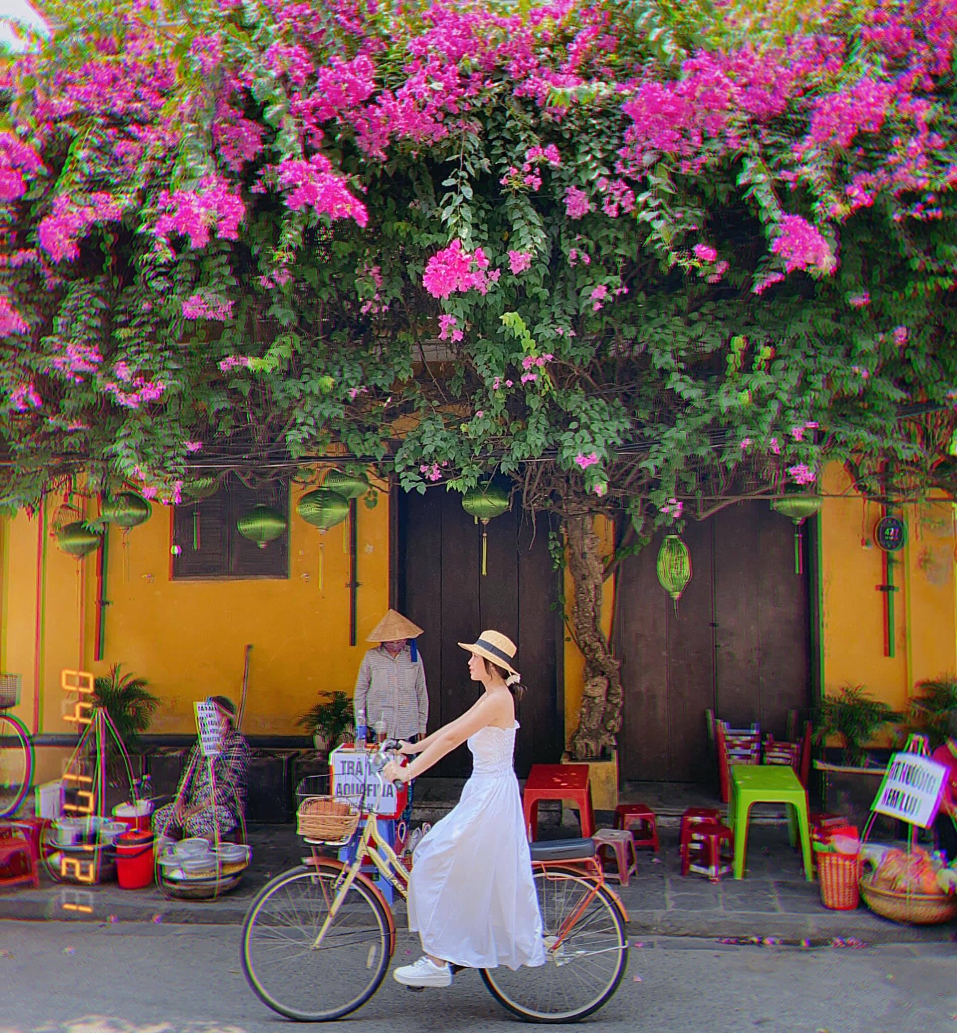 Scenery in Hoi An