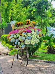 The golden sunlight of Hanoi's autumn easily stirs people's hearts.