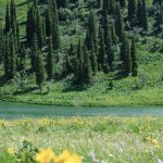 Xinjiang, a place of magical beauty straight out of a fairy tale.