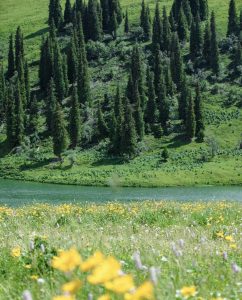 The beauty of Xinjiang