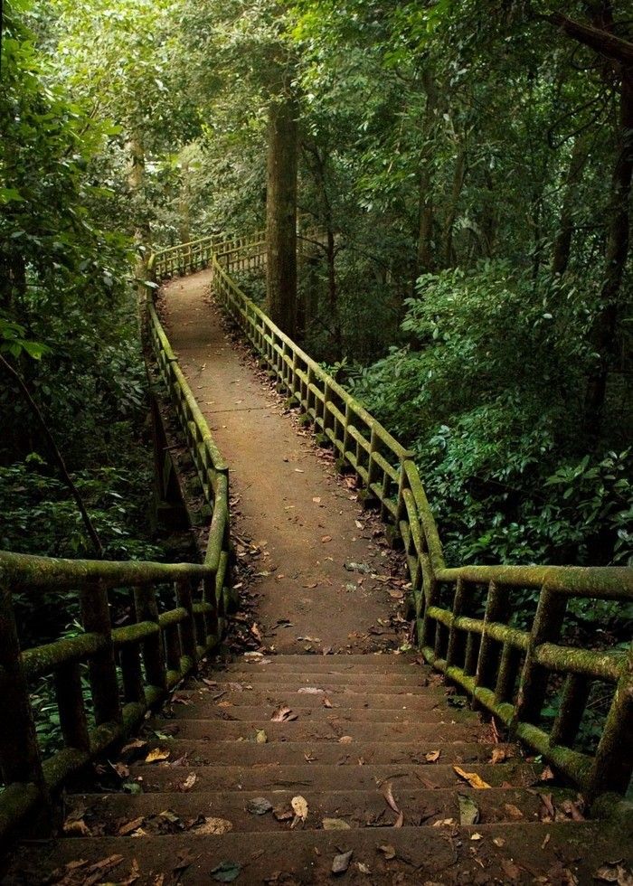 A popular destination for travelers to explore and discover Ninh Binh’s natural beauty.