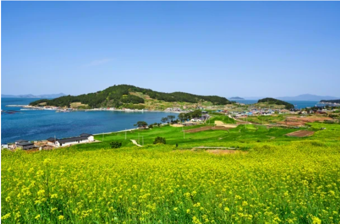 Cheongsando – The Island of Slow Living