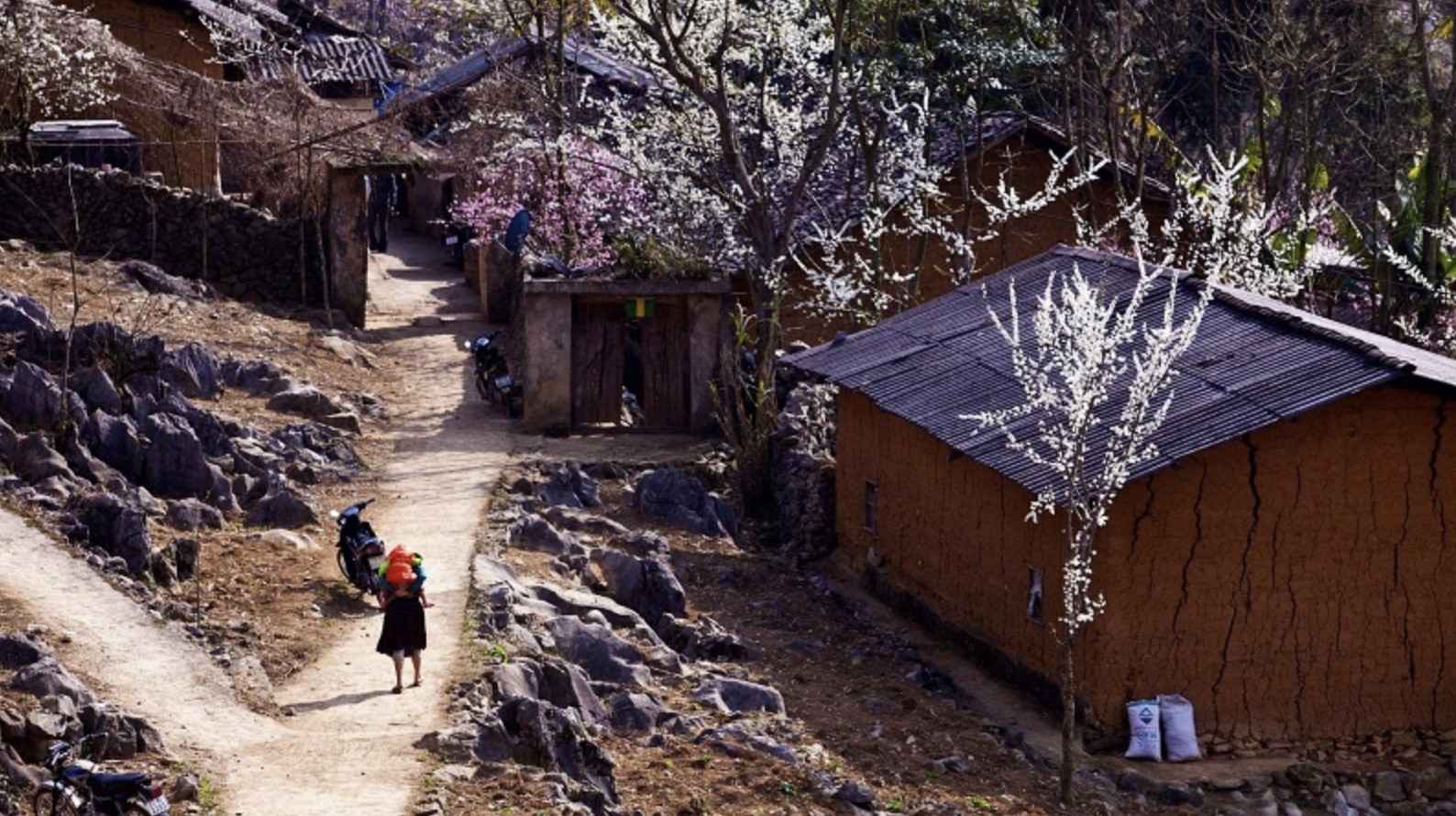 Phó Bảng Ha Giang