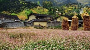Sùng là Ha Giang