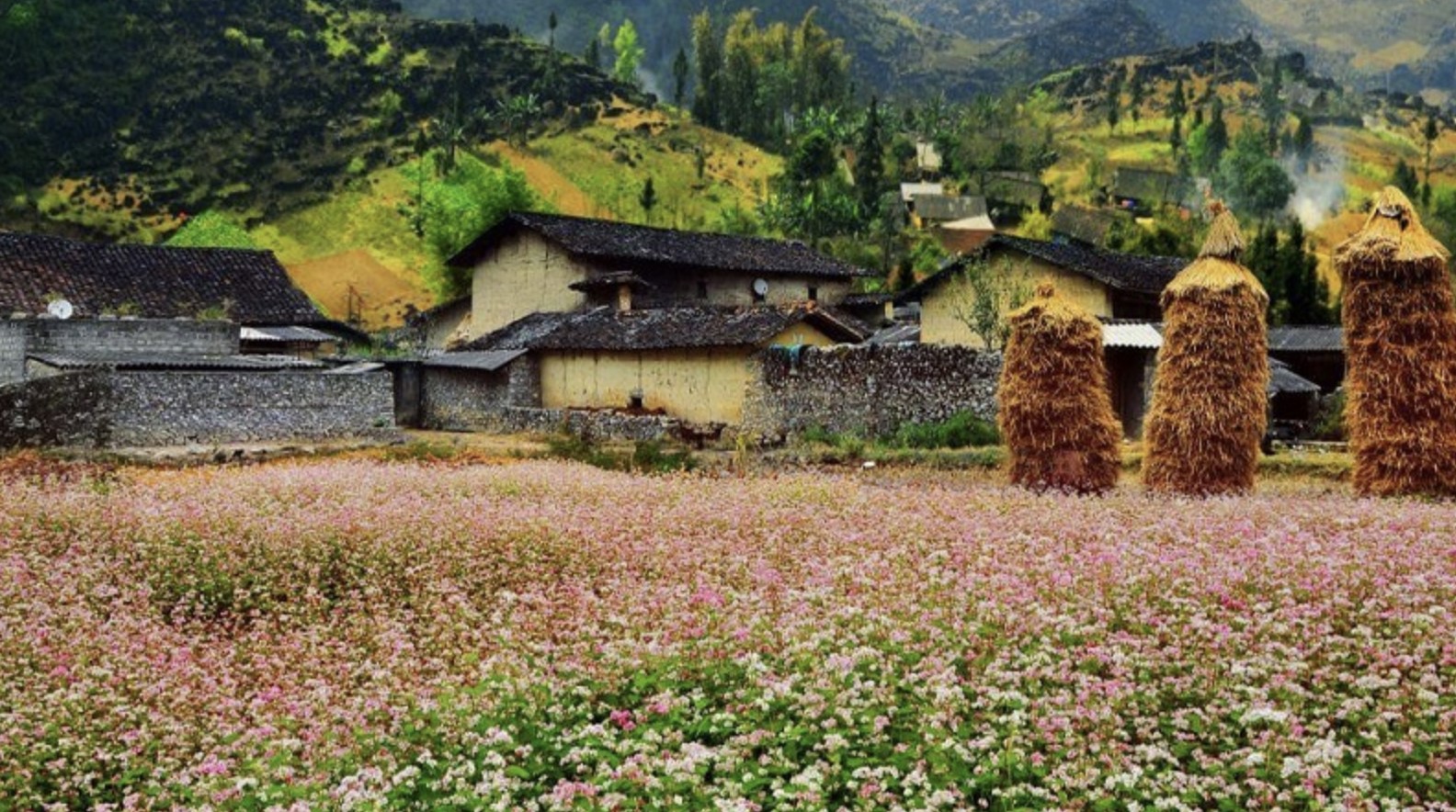 Sùng là Ha Giang