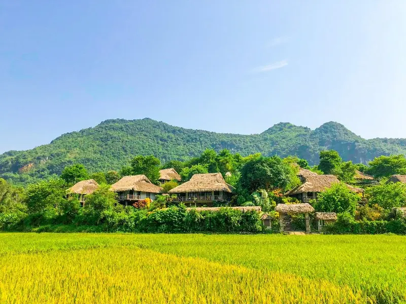EXPLORE THE BEAUTY OF MAI CHAU VALLEY 2D1N - Ảnh 3
