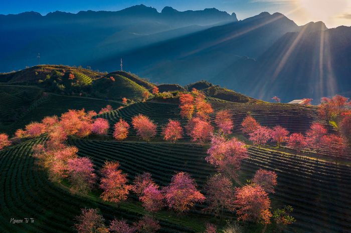 Northeast - Northwest Combined Tour 5Days / 4Nights - Ảnh 2