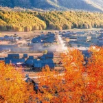 VIP Northern Xinjiang Tour (9 Days, 8 Nights) – No Shopping – Autumn 2026 - Ảnh 4