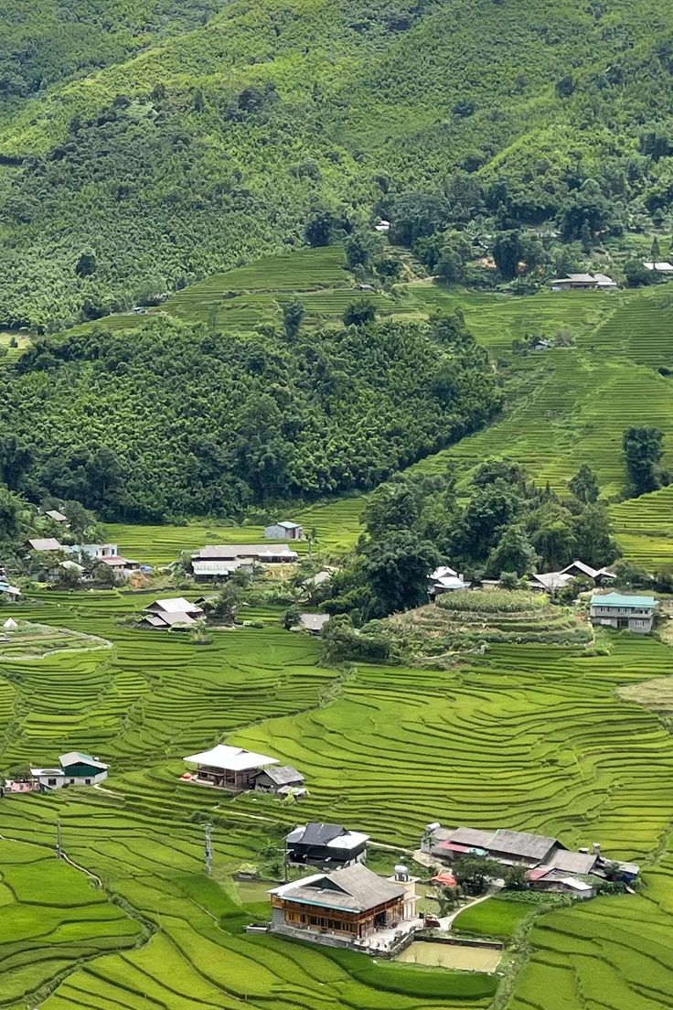 TP.HCM - SAPA : The golden hues of the Northwest 5Days/4Nights - Ảnh 3