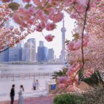SHANGHAI – WUZHEN – HANGZHOU (NO SHOPPING) – 5 DAYS 4 NIGHTS SHANGHAI – WUZHEN – HANGZHOU - Ảnh 7