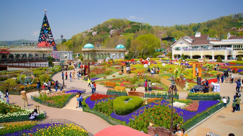 SOUTH KOREA IN VIBRANT COLORS (5D4N) - Ảnh 7