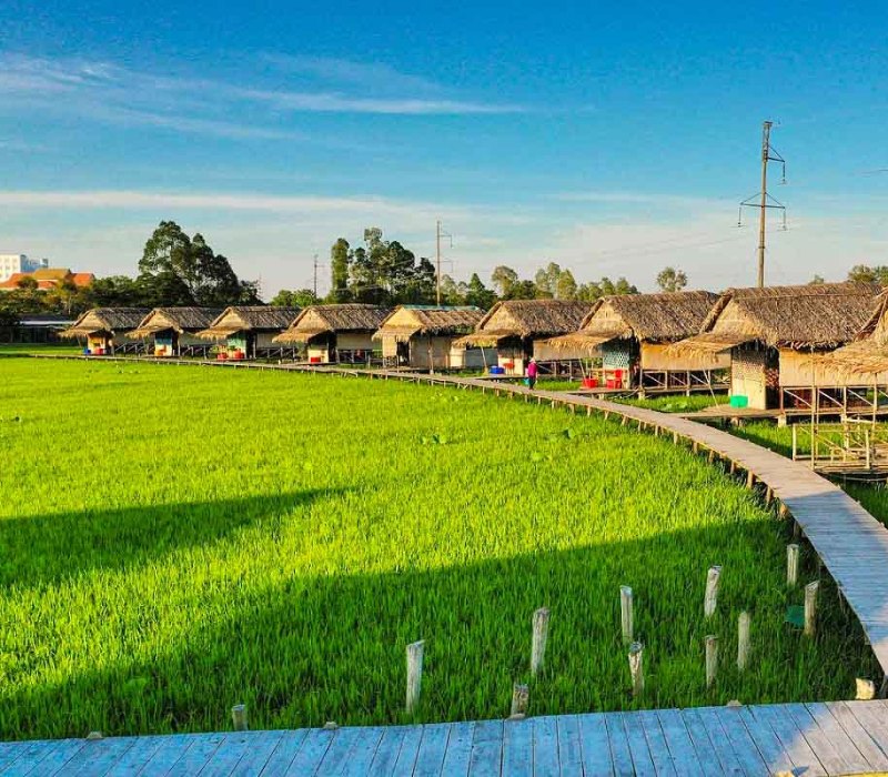 TP.HCM - DONG THAP 2Days / 1Night ( 3-star hotel )