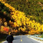 VIP Northern Xinjiang Tour (9 Days, 8 Nights) – No Shopping – Autumn 2026 - Ảnh 9