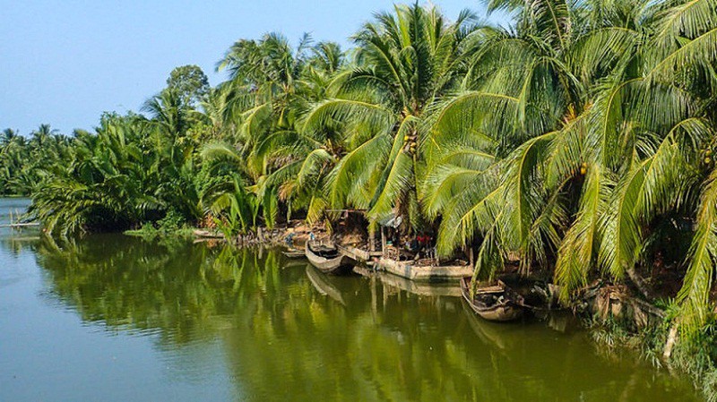 HA NOI - CAN THO - SAI GON 5D4N - Ảnh 5
