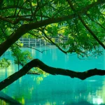 Discover Khoun Kong Leng Lake, Laos’s mesmerizing emerald-blue lake
